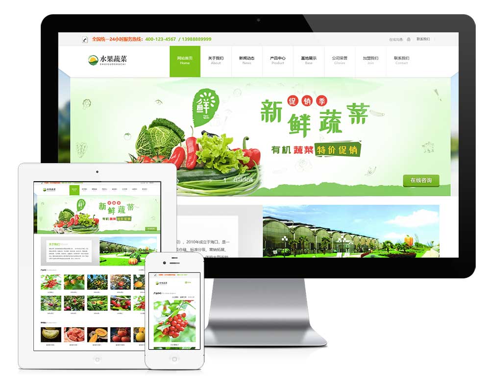 南京华成蔬菜公司网站建设案例