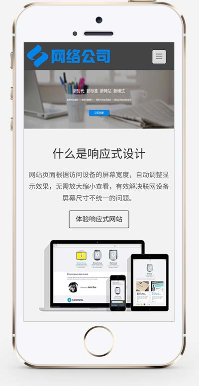 IT互联网建站公司网站源码+手机自适应