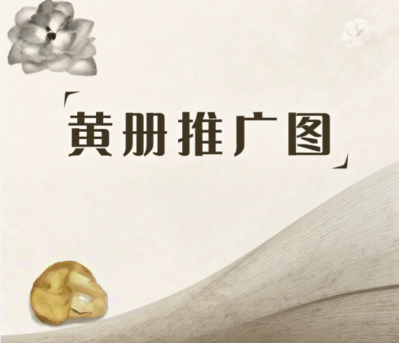 新手必看！黄页推广的5大实用技巧