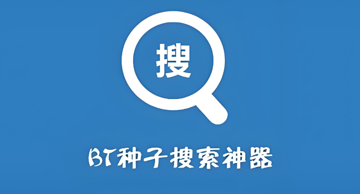 种子搜索引擎是什么,种子搜索引擎如何使用?